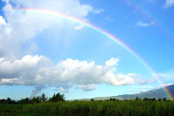 身近な霊感ある友だち三人目